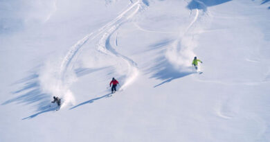 Width of the powder skis