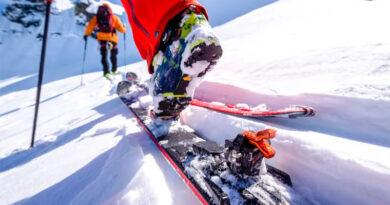 Best Alpine Touring Skis