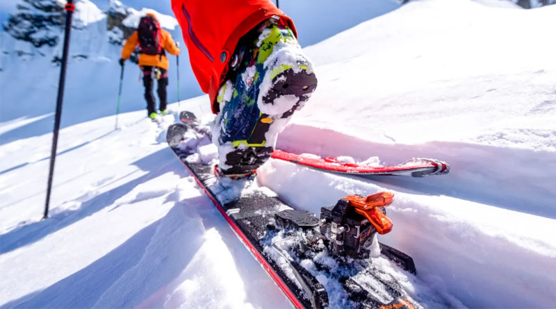 Best Alpine Touring Skis