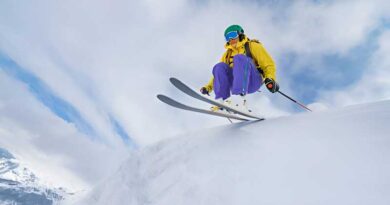 Best Park Skis
