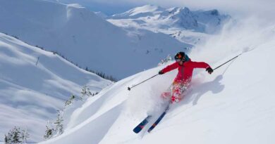Best Skis for Expert Skiers