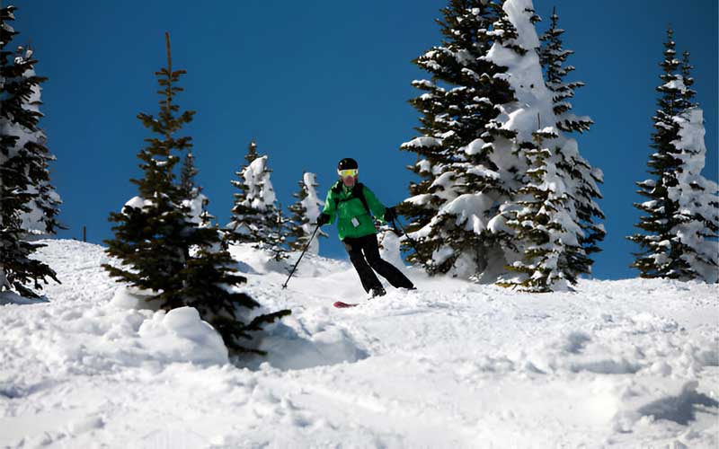 How to Choose Mogul Skis