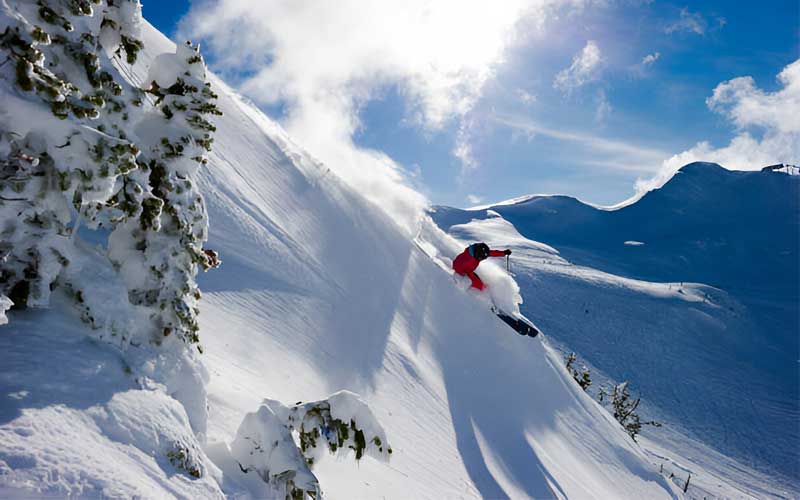 How to Choose Skis for Expert Skiers?