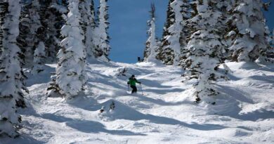What Is Mogul Skiing?