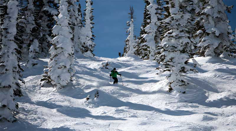What Is Mogul Skiing?