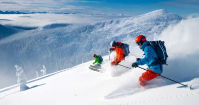 Best Big Mountain Skis