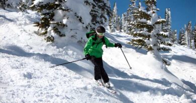 Best Mogul Skis