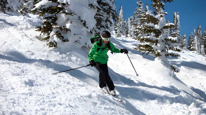 Best Mogul Skis