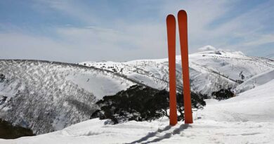 Best Twin Tip Skis