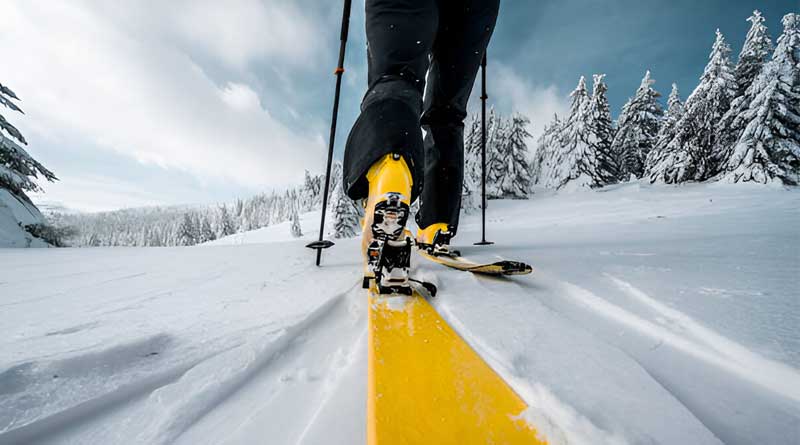 Best Alpine Touring Ski Boots