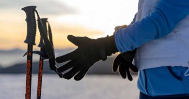 Best Budget Ski Poles