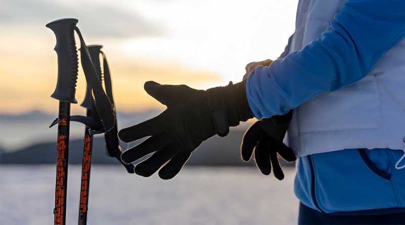 Best Budget Ski Poles