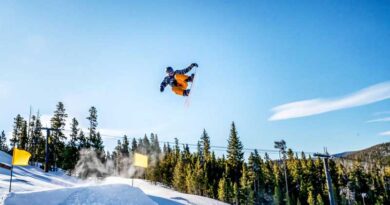 Best Park Snowboards