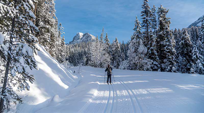 Best Skis for Icy Conditions