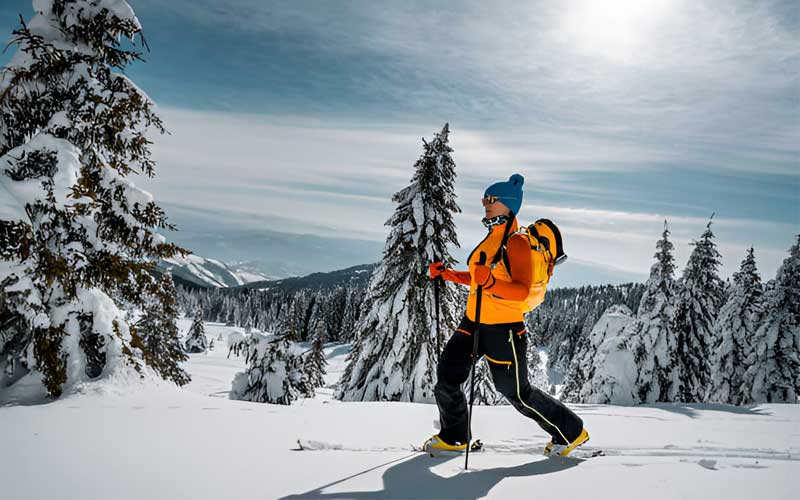 How to Choose Alpine Touring Ski Boots?
