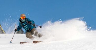 Armada ARV 100 Skis Review