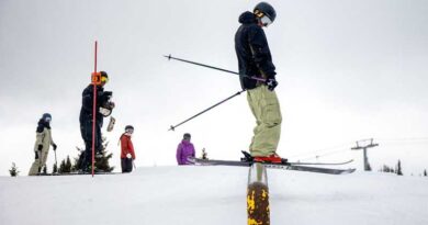 Armada ARV 94 Skis Review