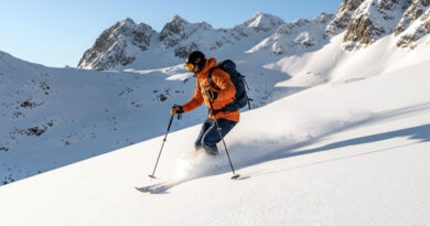 Best Backcountry Ski Poles