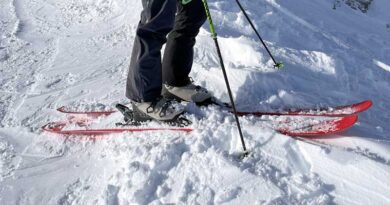 Black Crows Camox Freebird Skis Review