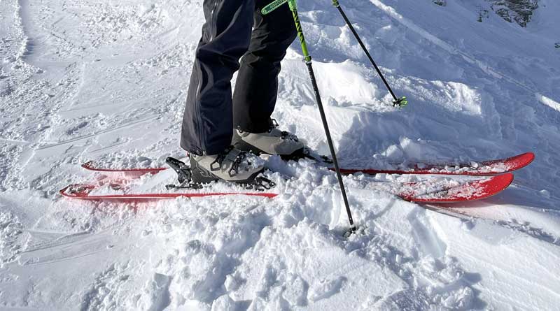 Black Crows Camox Freebird Skis Review