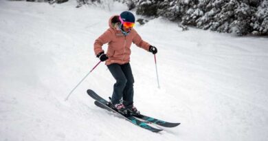 Nordica Santa Ana 104 Free Review