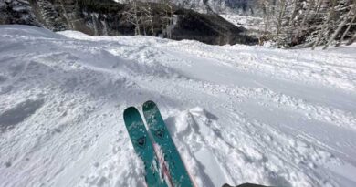 Rossignol Sender Free 110 Skis Review