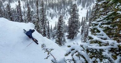 Season Nexus Skis Review