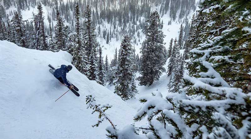 Season Nexus Skis Review