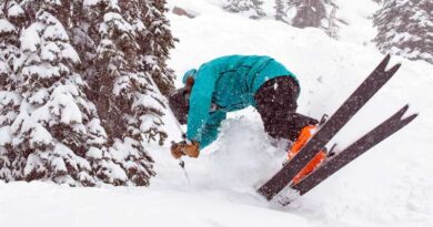 Season Forma Skis Review