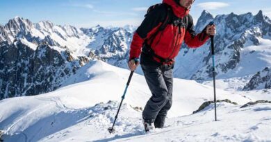 Best Collapsible Ski Poles