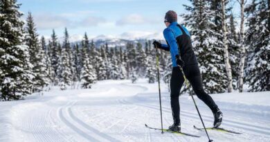 Best Cross-Country Ski Poles