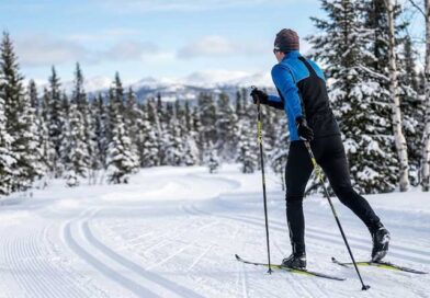Best Cross-Country Ski Poles