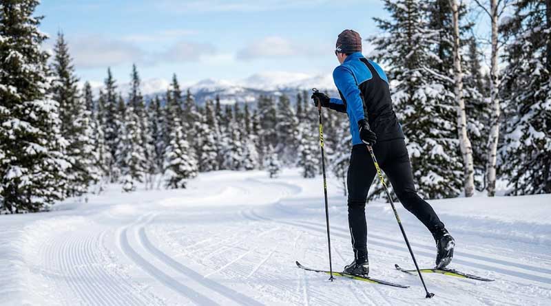 Best Cross-Country Ski Poles