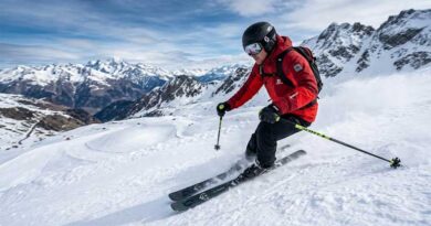 Best Downhill Ski Poles