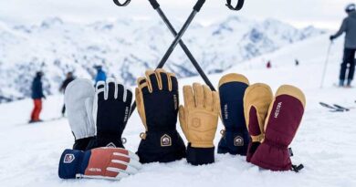 Best Hestra Ski Gloves