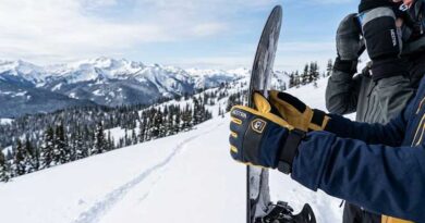 Best Hestra Snowboard Gloves