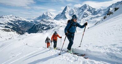 Best Ski Touring Poles