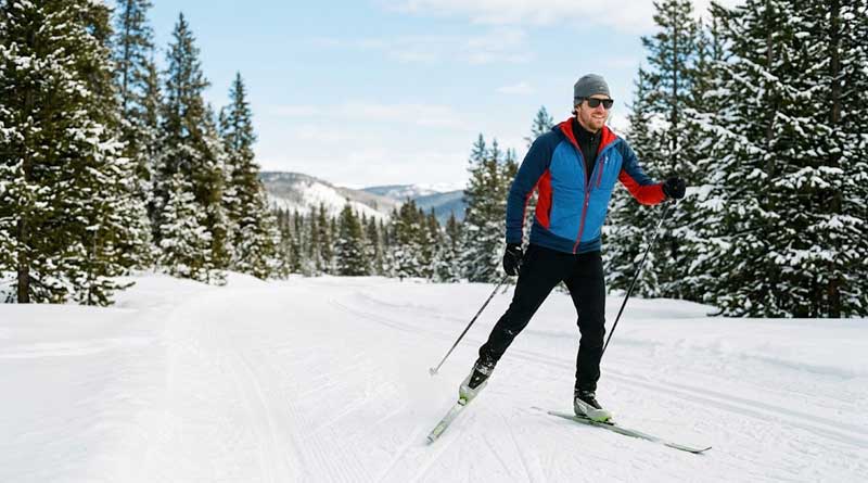 Best Budget Cross-Country Skis of 2026 Best Budget Cross-Country Skis