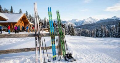 Best Cross-Country Skis