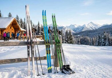 Best Cross-Country Skis of 2026 Best Cross-Country Skis